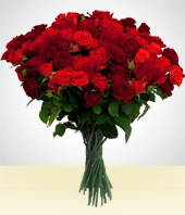 Festividades Prximas - Bouquet Eternidad de 50 Rosas