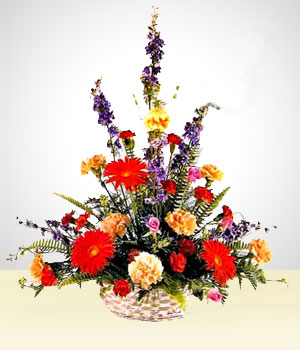Flores a Repblica Dominicana Celestial: Claveles Multicolores